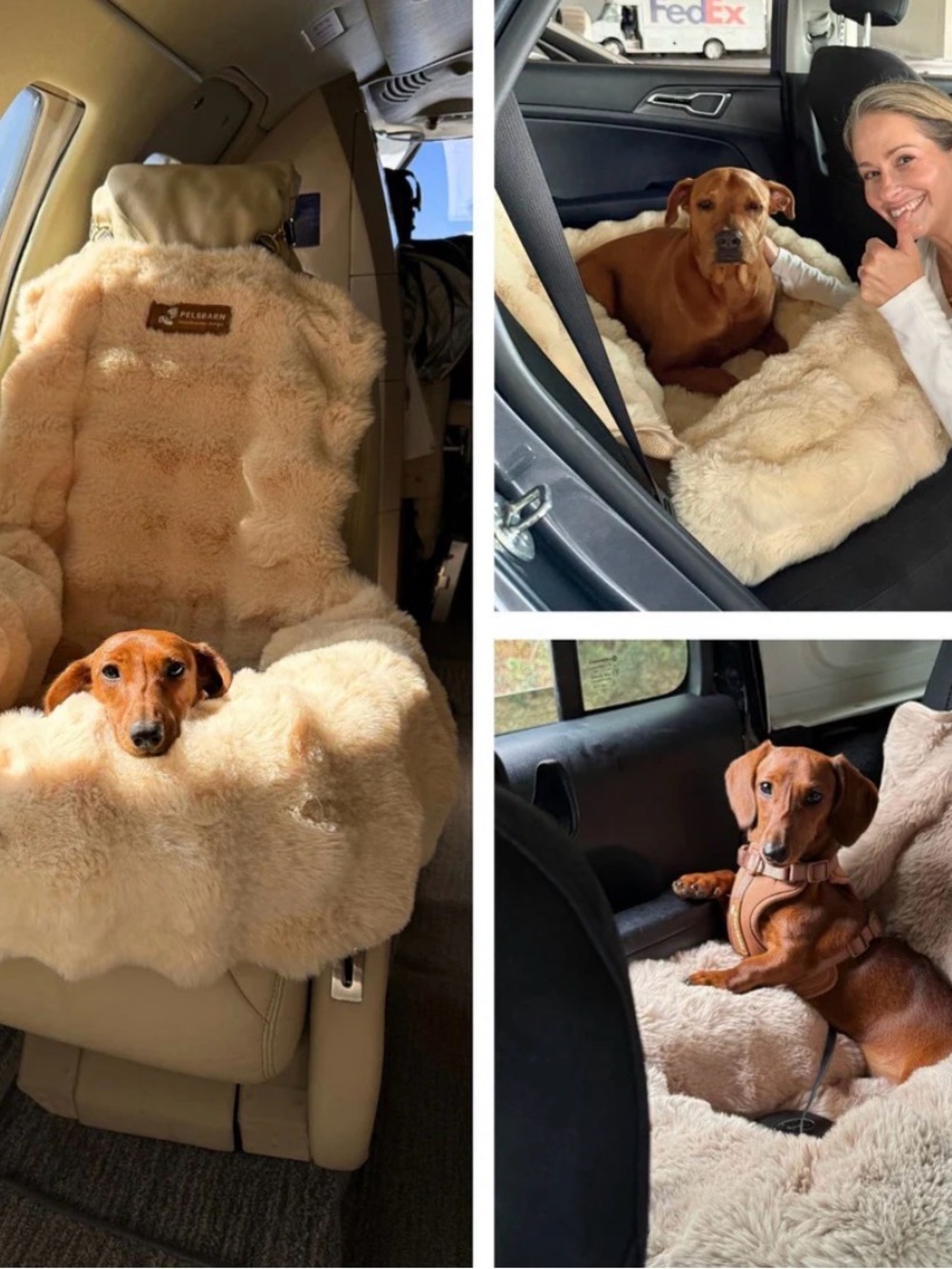 Pelsbarn Plush Sheepskin-Style Dog Seat Cover - Cream - Premium Pet Travel Bed